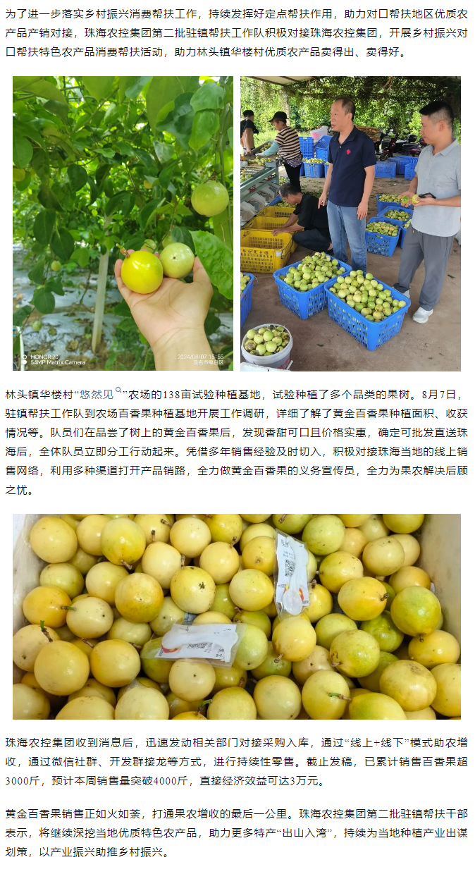 mk（中国）集团助力产销对接 对口帮扶果香飘百里.png